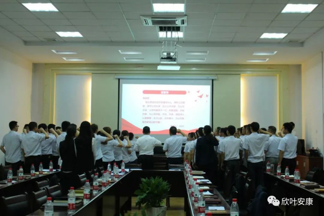 胜天国际-梦想照进现实,努力成就未来!