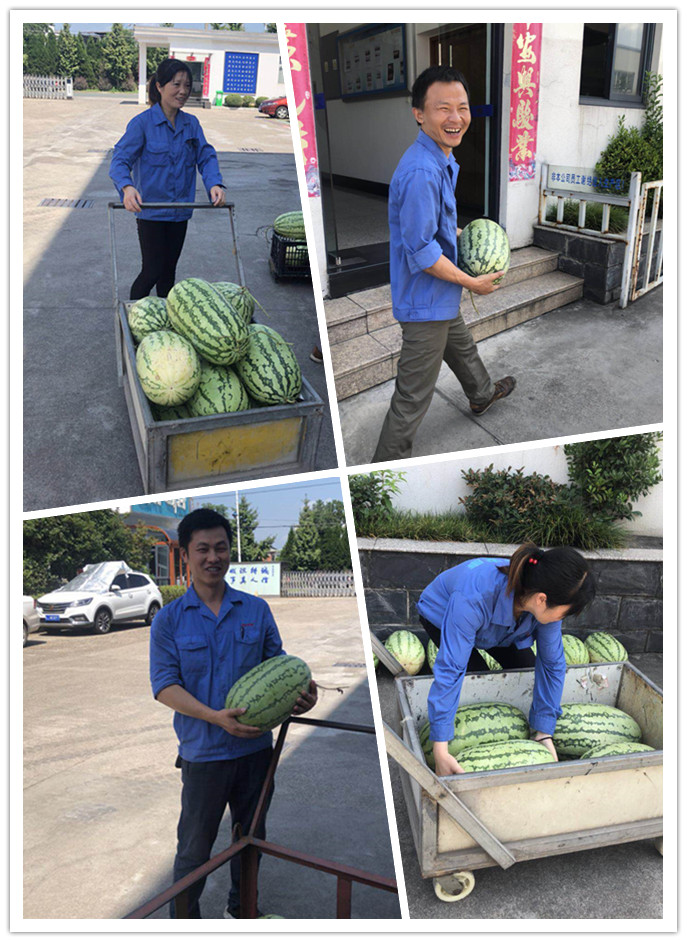 胜天国际-梦想照进现实,努力成就未来!