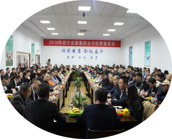 胜天国际-梦想照进现实,努力成就未来!