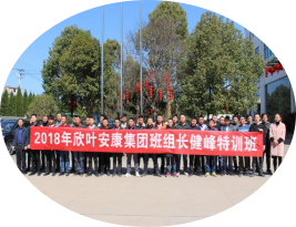 胜天国际-梦想照进现实,努力成就未来!