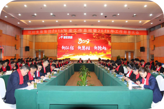 胜天国际-梦想照进现实,努力成就未来!