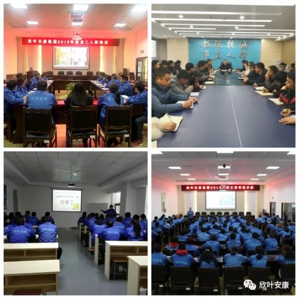胜天国际-梦想照进现实,努力成就未来!