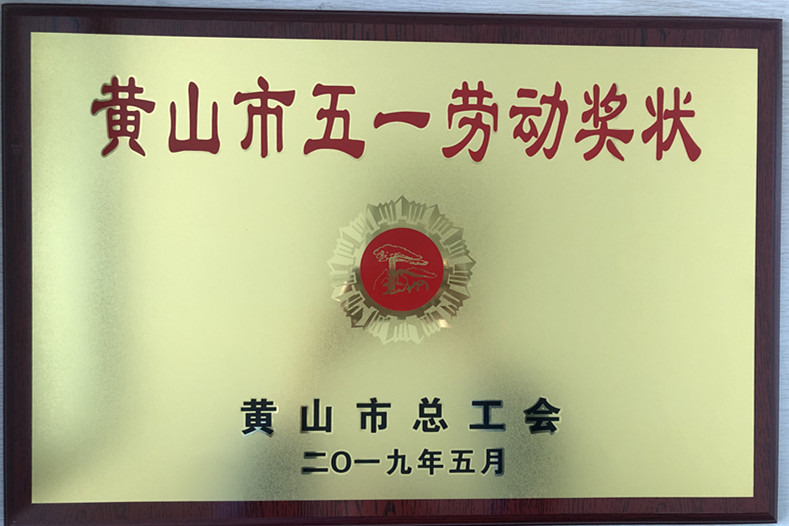 胜天国际-梦想照进现实,努力成就未来!