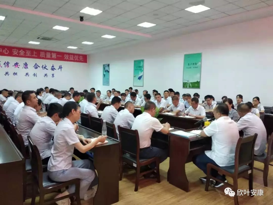 胜天国际-梦想照进现实,努力成就未来!