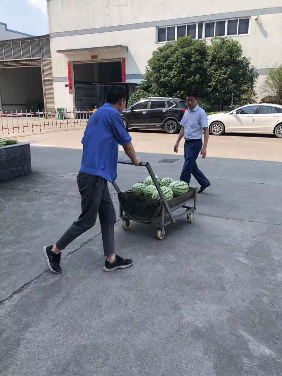 胜天国际-梦想照进现实,努力成就未来!