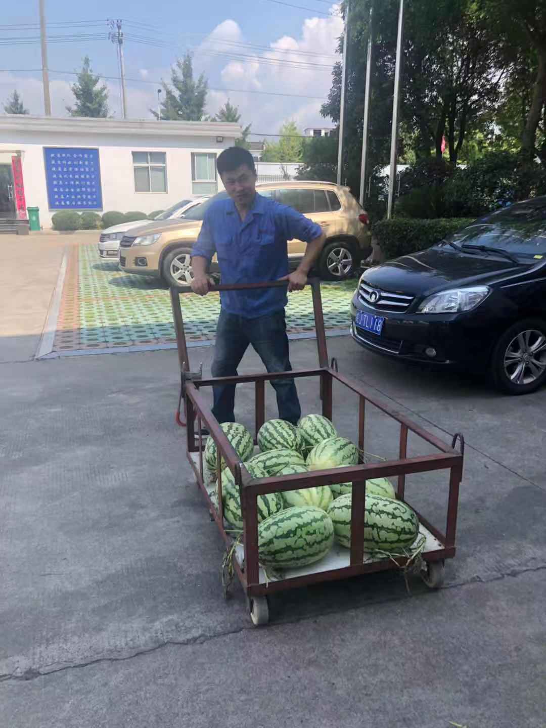 胜天国际-梦想照进现实,努力成就未来!