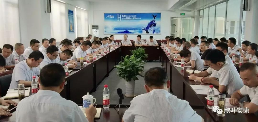 胜天国际-梦想照进现实,努力成就未来!