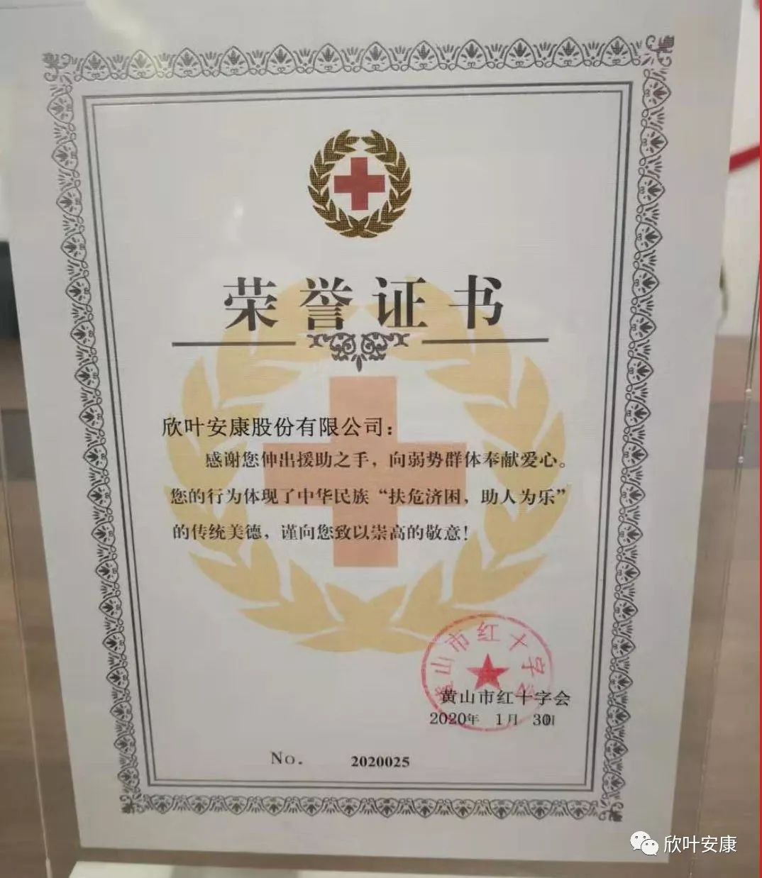 胜天国际-梦想照进现实,努力成就未来!
