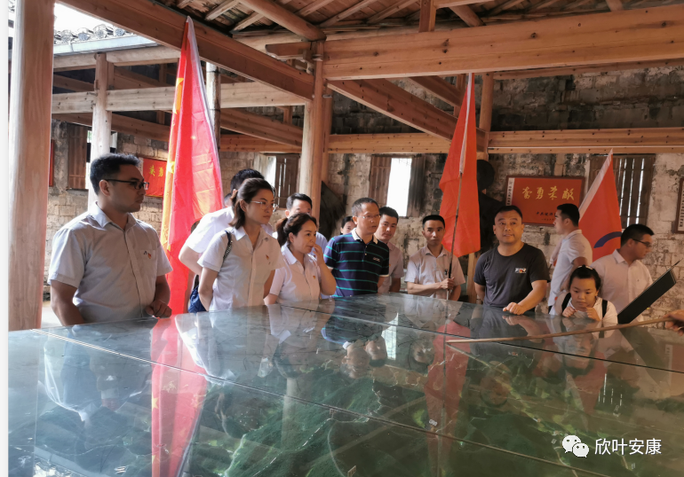 胜天国际-梦想照进现实,努力成就未来!
