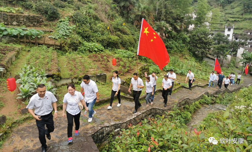 胜天国际-梦想照进现实,努力成就未来!
