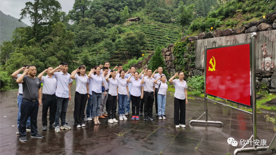 胜天国际-梦想照进现实,努力成就未来!