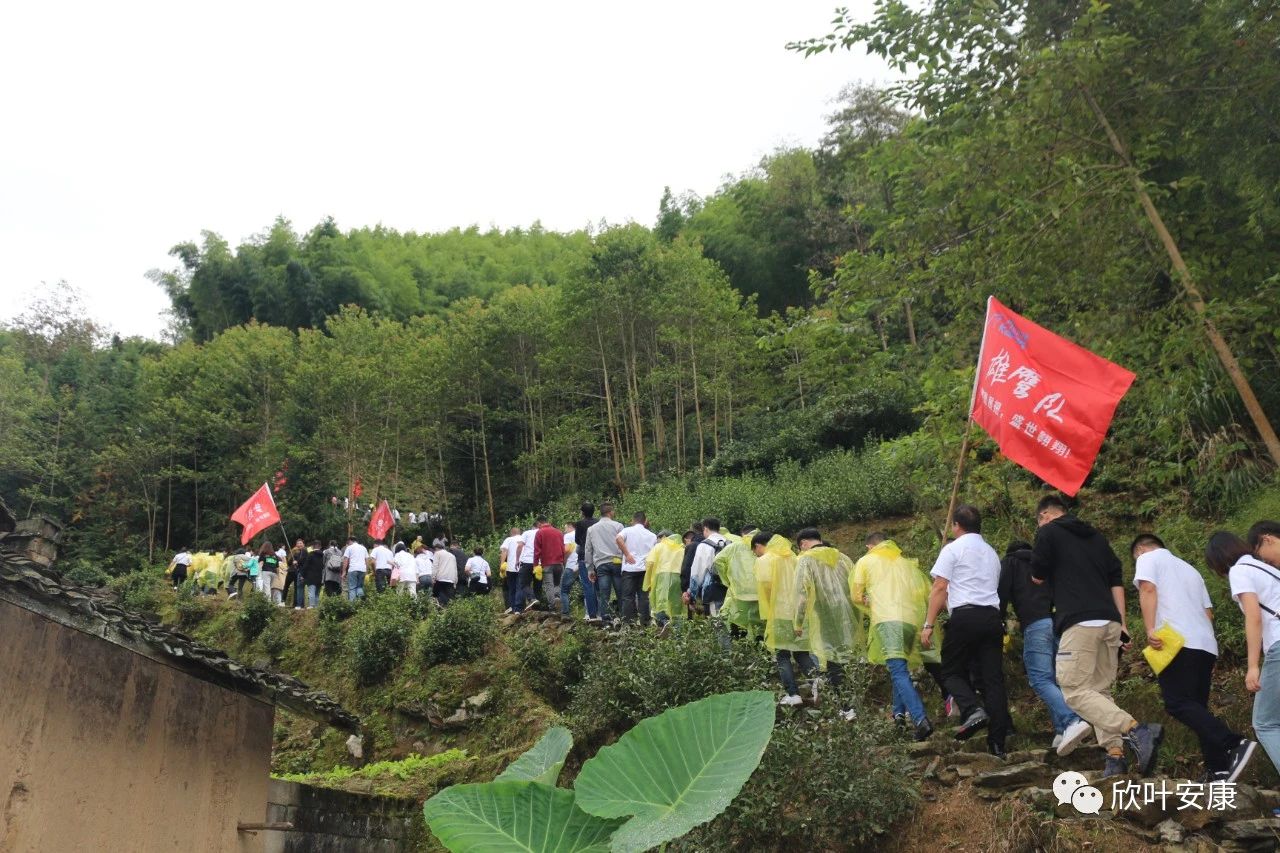 胜天国际-梦想照进现实,努力成就未来!