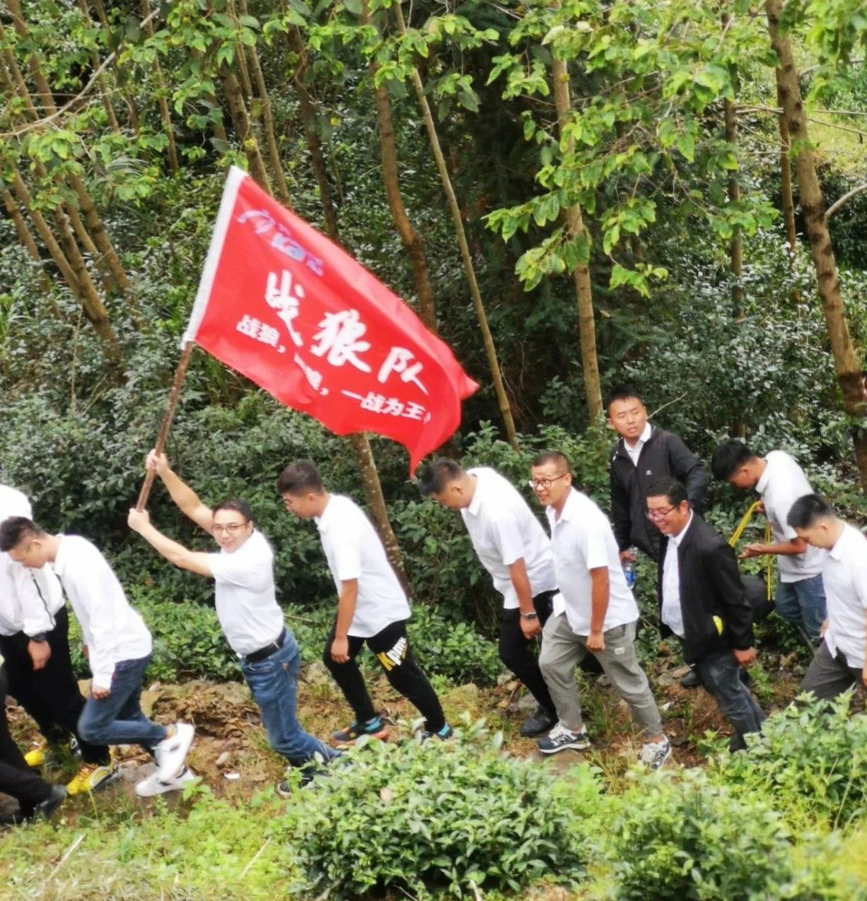 胜天国际-梦想照进现实,努力成就未来!